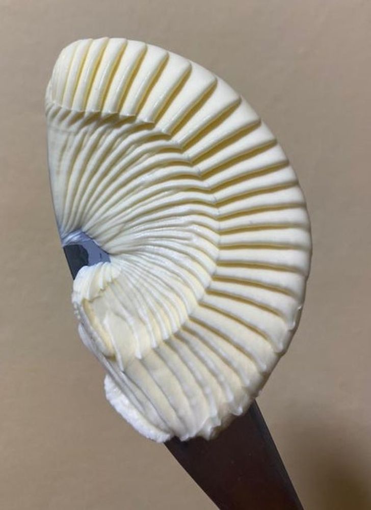 Illustration de l'article : Ces 15 photos qui raviront les perfectionnistes 