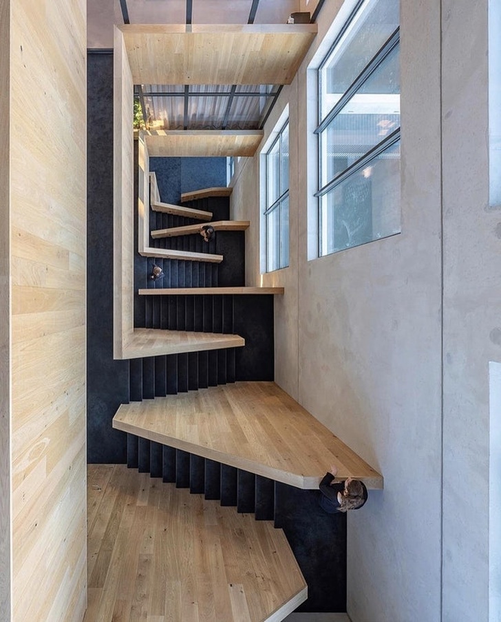 Illustration de l'article : Ces 21 photos demandent un peu de temps avant de les comprendre