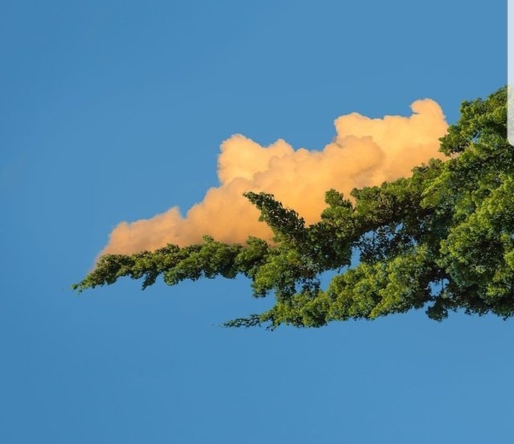 Illustration de l'article : Ces 21 photos de choses qui existent réellement