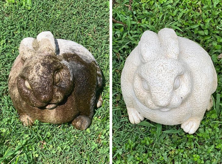 Illustration de l'article : Ces 20 photos illustrant le pouvoir du nettoyage