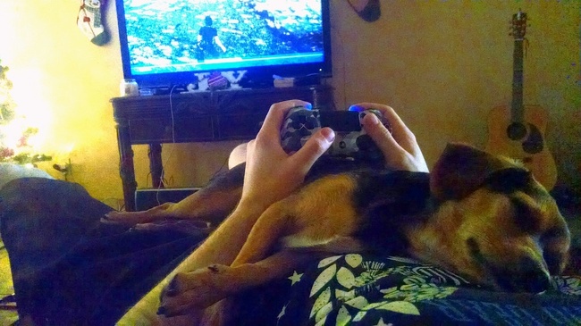 Illustration de l'article : Ces 20 photos résument le quotidien d'un fainéant