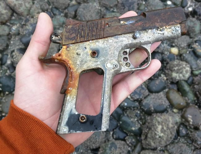 Illustration de l'article : Ces 14 découvertes inattendues sur les plages du monde