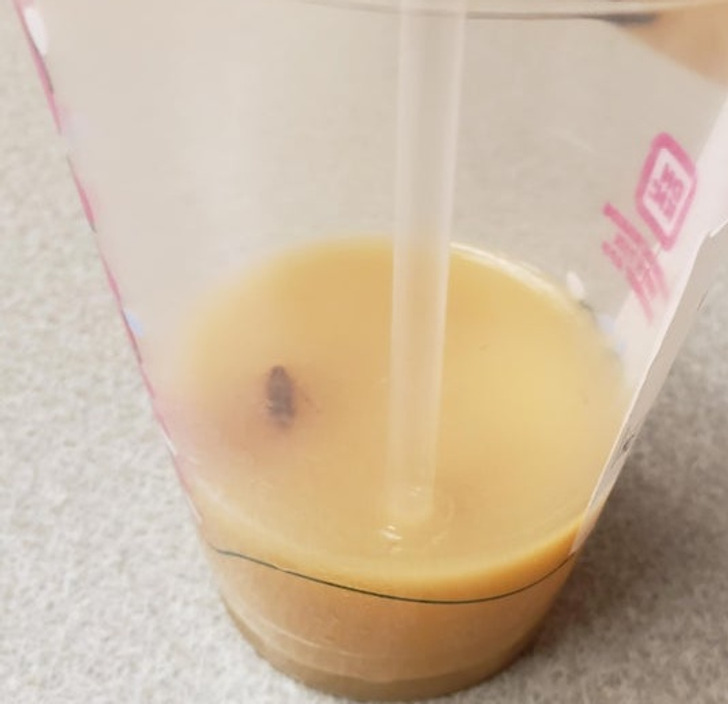 Illustration de l'article : Ces 19 photos qui témoignent des mauvais jours