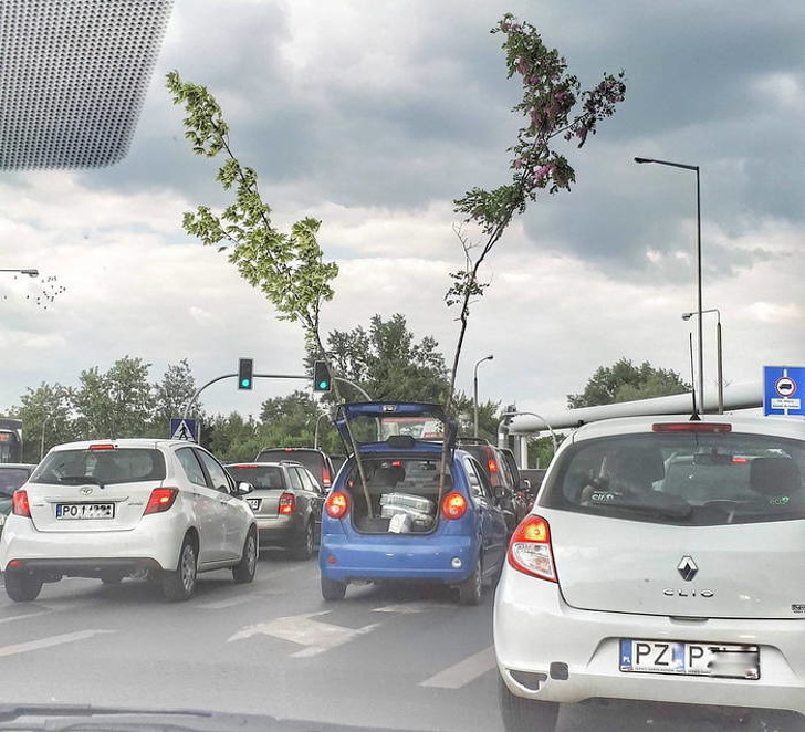 Illustration de l'article : Ces 13 photos qui montrent que l'on peut faire des découvertes tous les jours