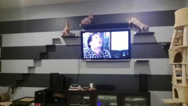 Illustration de l'article : Ces 26 inventions vont vous remplir de joie !