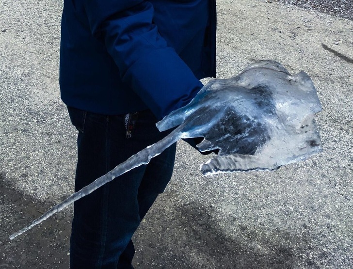 Illustration de l'article : Ces 19 photos représentant des mystères de la nature