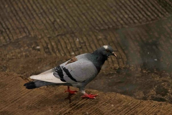 Illustration de l'article : 42 situations qui prouvent que le karma existe 