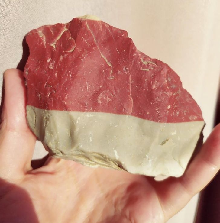 Illustration de l'article : Ces 15 fois où la nature a joué avec les couleurs