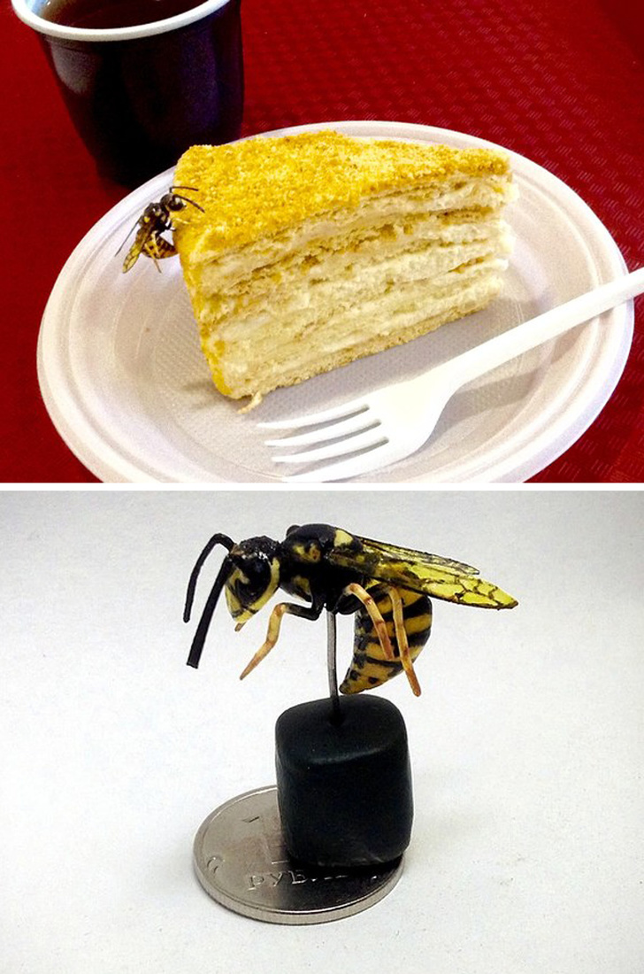 Illustration de l'article : Ces 23 curiosités qui montrent qu'il faut être attentif autour de soi