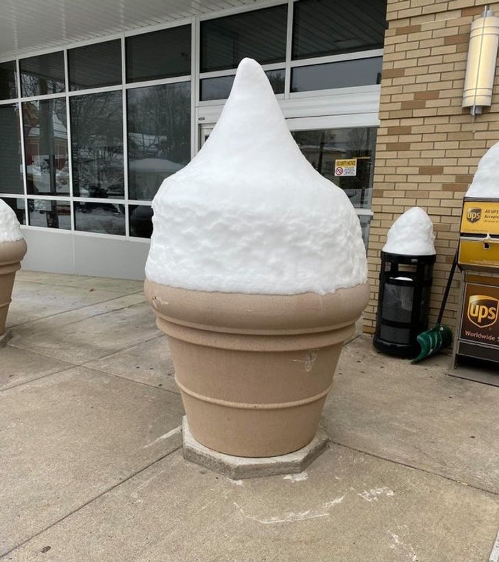 Illustration de l'article : Ces 15 objets qui ne sont pas ce qu'on croit 