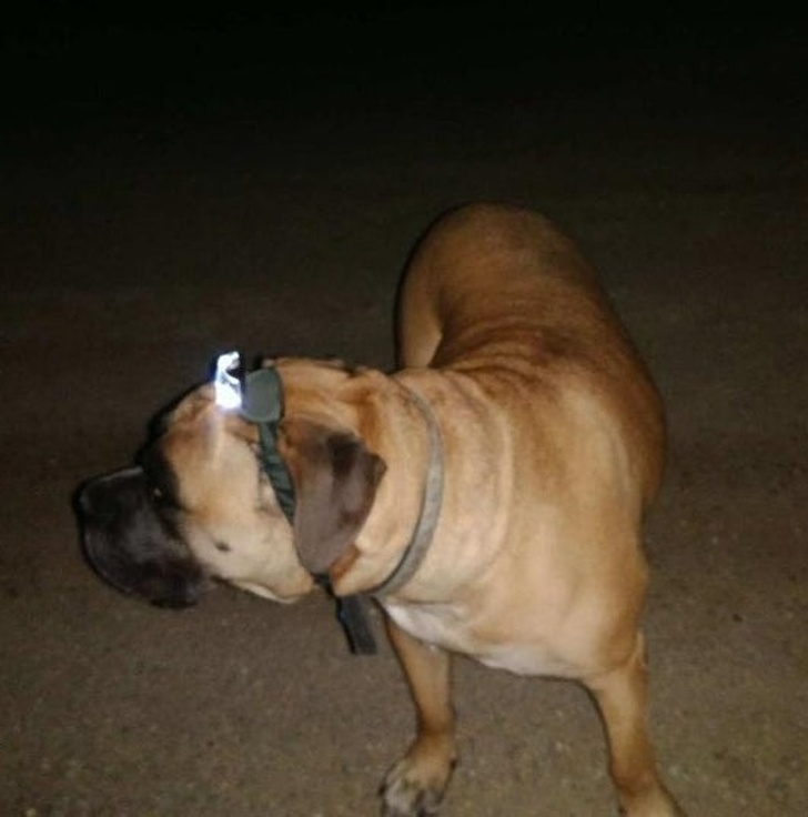 Illustration de l'article : Ces 18 personnes qui font preuve d'imagination au quotidien