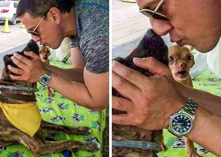 Illustration de l'article : Ces 19 photos devenues mémorables grâce à leur arrière-plan