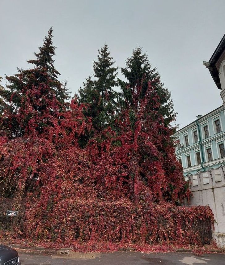 Illustration de l'article : Ces 18 situations comme on en rencontre rarement