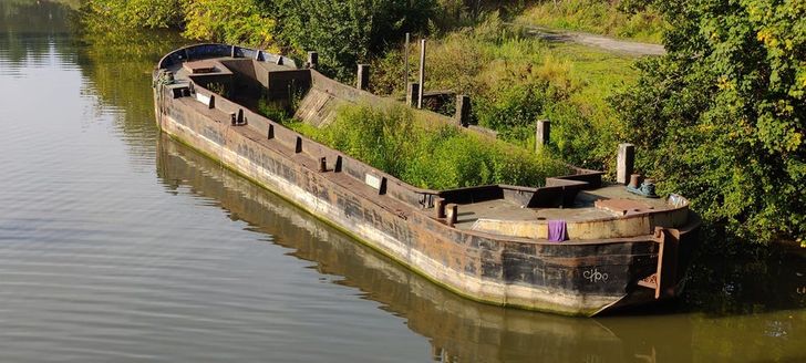 Illustration de l'article : Ces 18 photos de la nature lorsqu'elle reprend ses droits