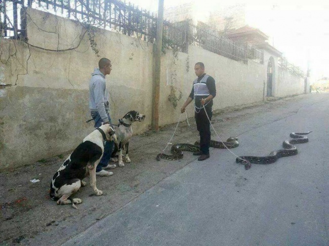 Illustration de l'article : 35 photos de choses totalement insensées et inexpliquées