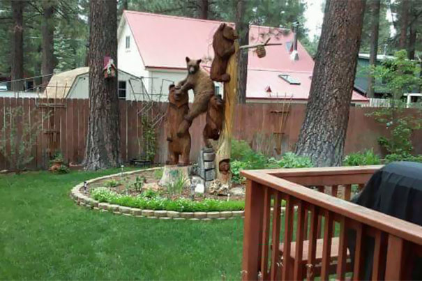 Illustration de l'article : Qui a vraiment le niveau pour trouver l'intrus sur ces 100 photos ? 