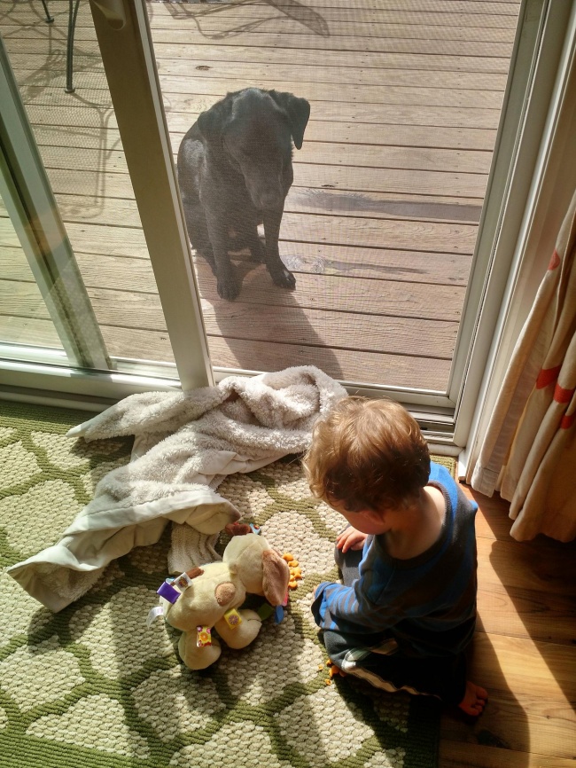 Illustration de l'article : Ces 20 photos dévoilent la complicité entre les enfants et leur animal de compagnie