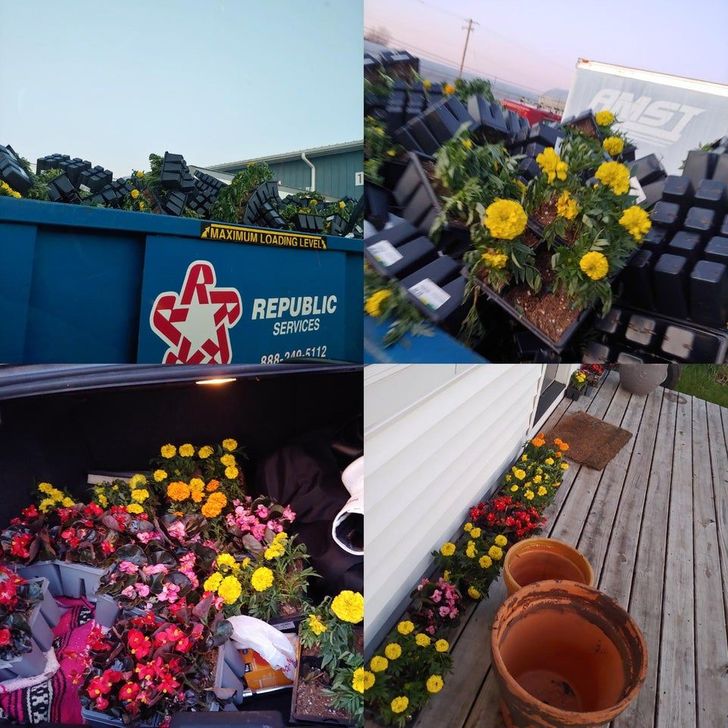 Illustration de l'article : Ces 20 photos d'objets de valeur jetés dans les ordures