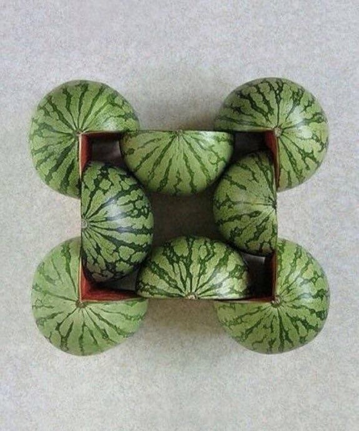 Illustration de l'article : Ces 24 photos de personnes qui aiment faire les choses correctement