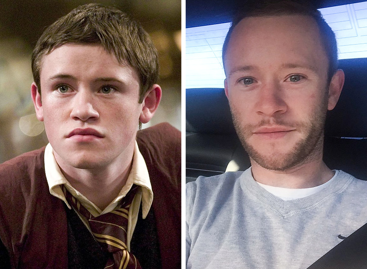 Illustration de l'article : Ces 12 acteurs transformés par la saga Harry Potter