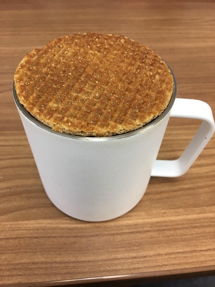 Illustration de l'article : Ces 22 photos qui se rapprochent de la perfection