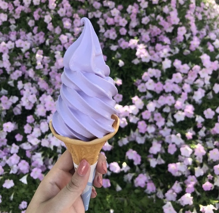 Illustration de l'article : Ces 21 photos qui feront plaisir à tous les perfectionnistes