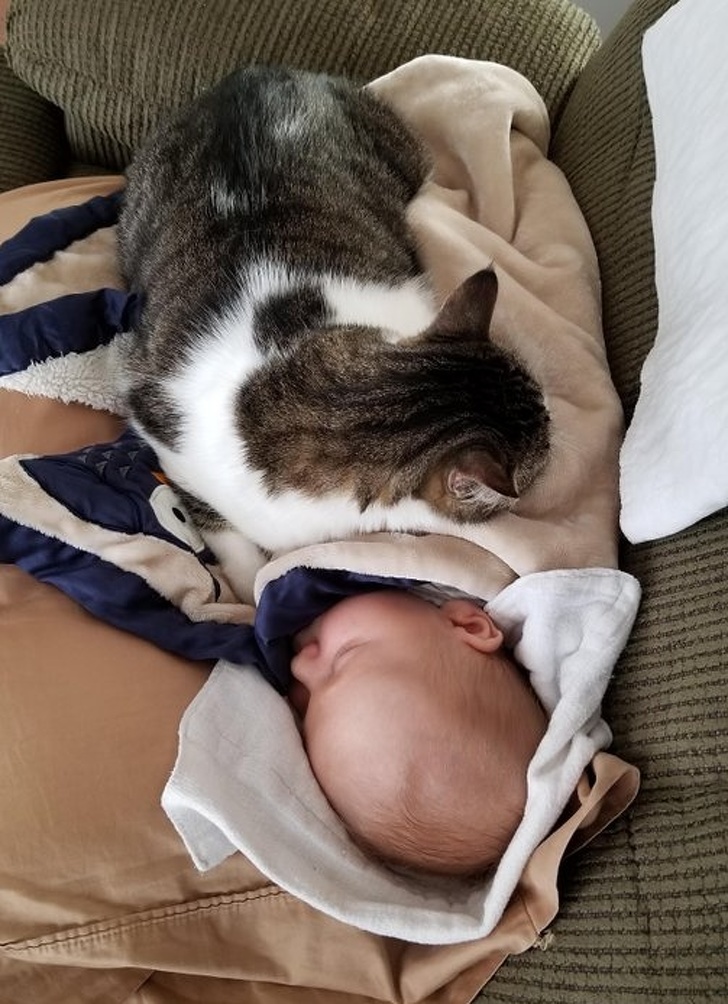 Illustration de l'article : Ces 21 fois où la chance est tombée par hasard