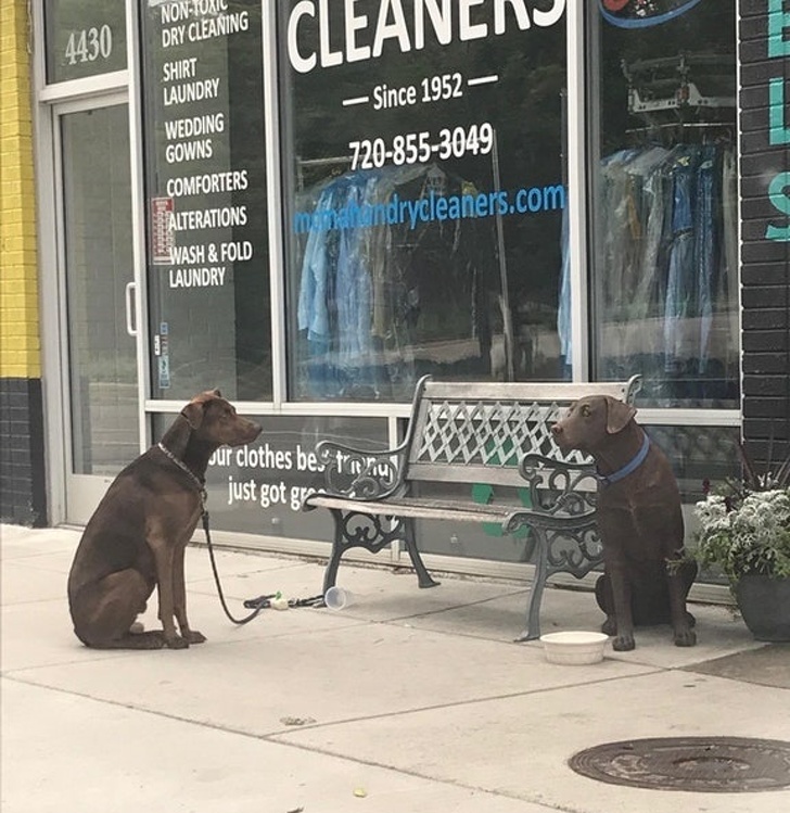 Illustration de l'article : Ces 18 photos prises à l'instant qu'il fallait