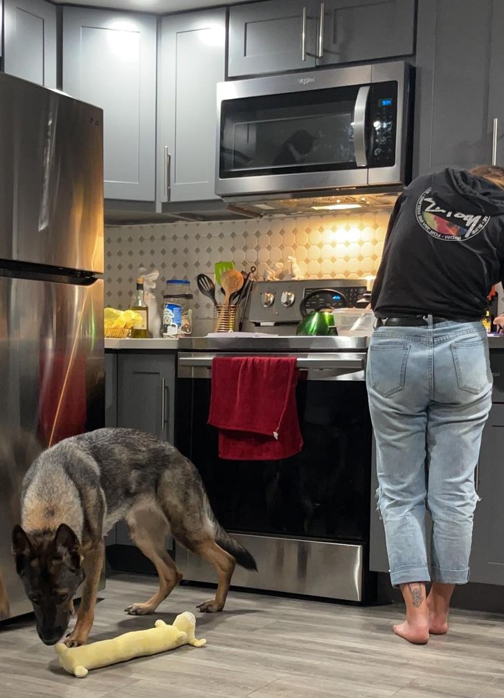 Illustration de l'article : Ces 20 photos qui montrent que tout est question d'angle de vue