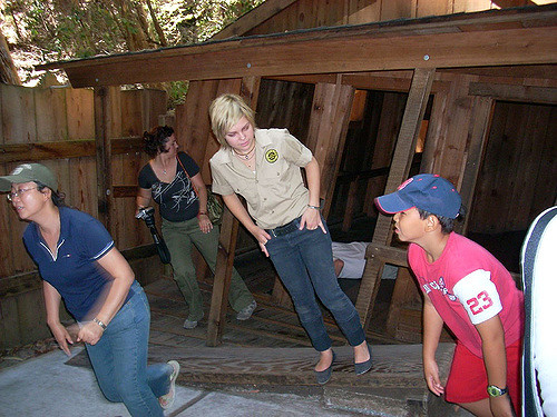 Illustration de l'article : 5 coins mystérieux qui défient la science