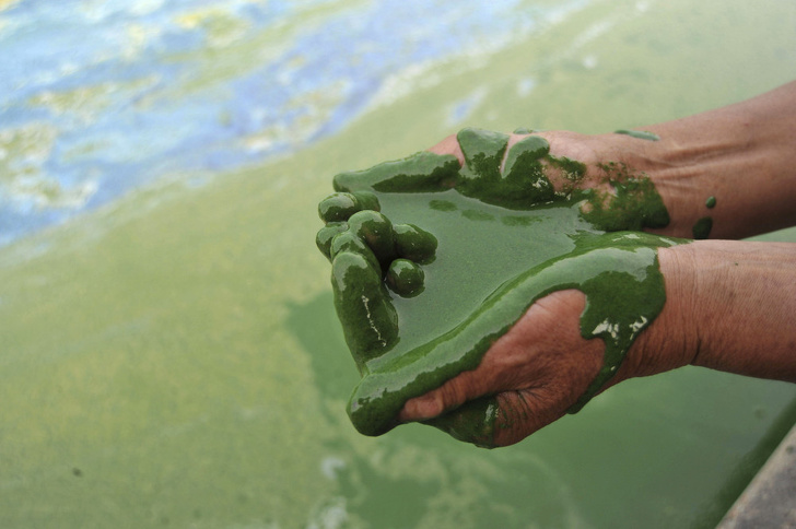 Illustration de l'article : Ces 15 photos qui montrent que l'on doit agir contre la pollution