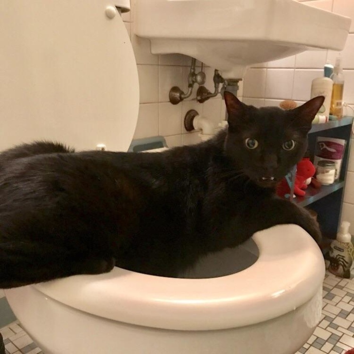 Illustration de l'article : Ces 15 échecs en passe de rentrer dans les livres d'histoire