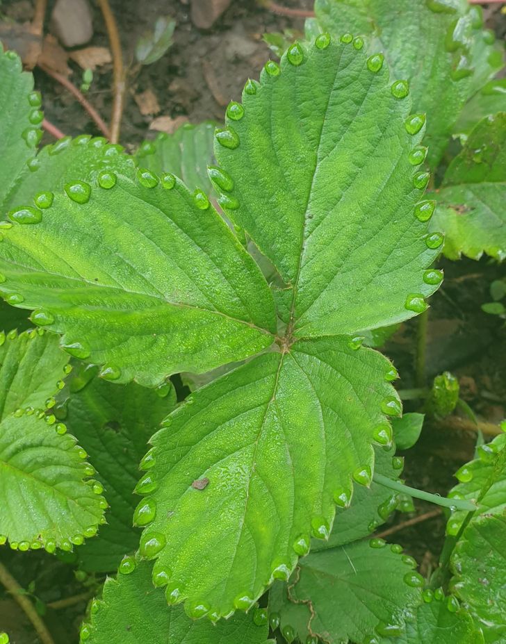 Illustration de l'article : Ces 20 photos qui montrent que la nature a de l'humour 