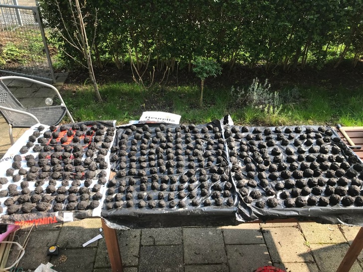 Illustration de l'article : Ces 22 actes de bonté dans le monde