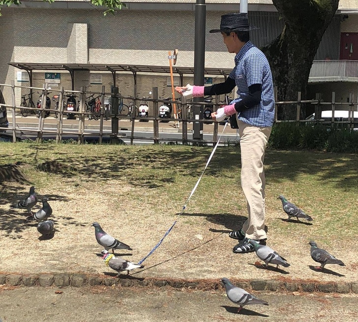 Illustration de l'article : Ces 19 moments assez fous dans le monde