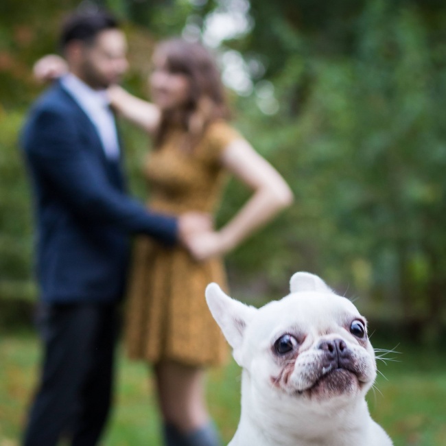 Illustration de l'article : Ces 21 photographies montrent l’absurdité de certaines situations