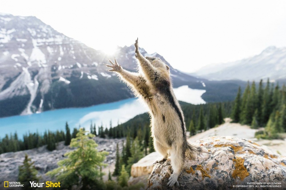 Illustration de l'article : 25 photos que vous aurez du mal &agrave; oublier