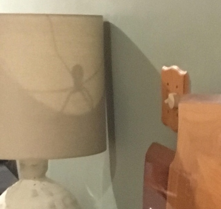 Illustration de l'article : Ces 23 curiosités qui montrent qu'il faut être attentif autour de soi