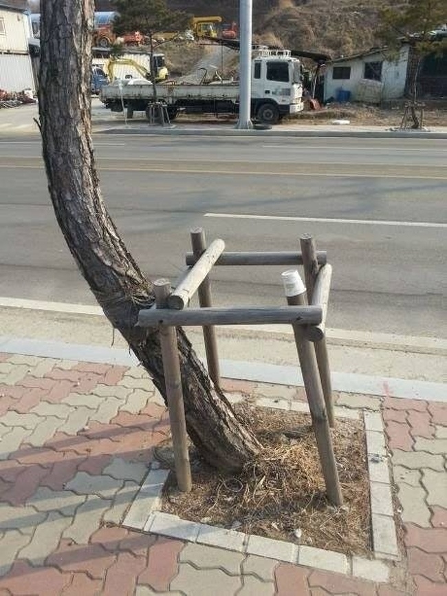 Illustration de l'article : Ces 24 personnes n’avaient pas envie de travailler ce jour-là