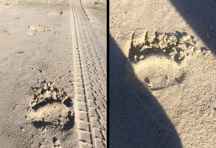 Illustration de l'article : Ces 18 personnes qui font un travail où l'on ne s'ennuie pas