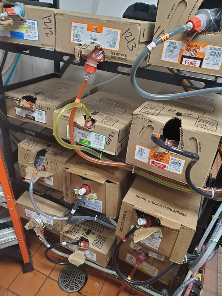 Illustration de l'article : Ces 20 photos qui suscitent bien des interrogations