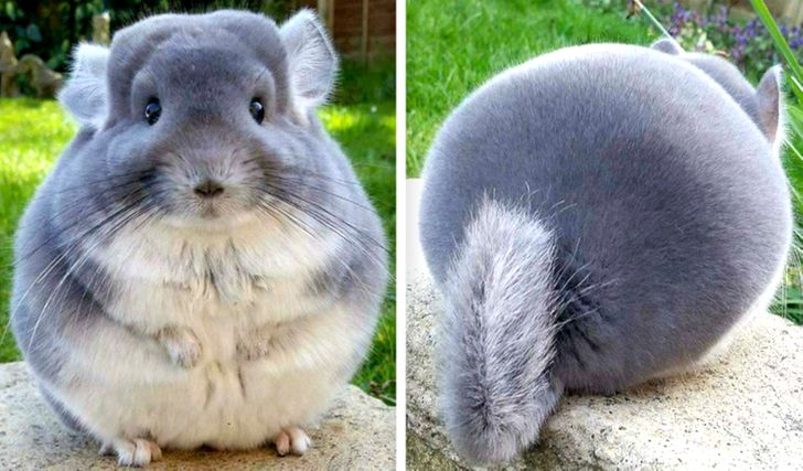 Illustration de l'article : Ces 19 photos de situations où les choses sont ordonnées et parfaites