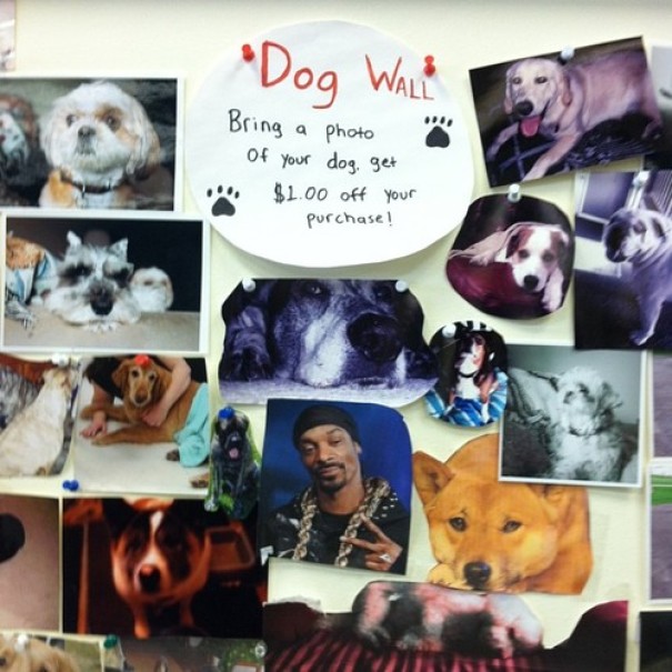 Illustration de l'article : Qui a vraiment le niveau pour trouver l'intrus sur ces 100 photos ? 