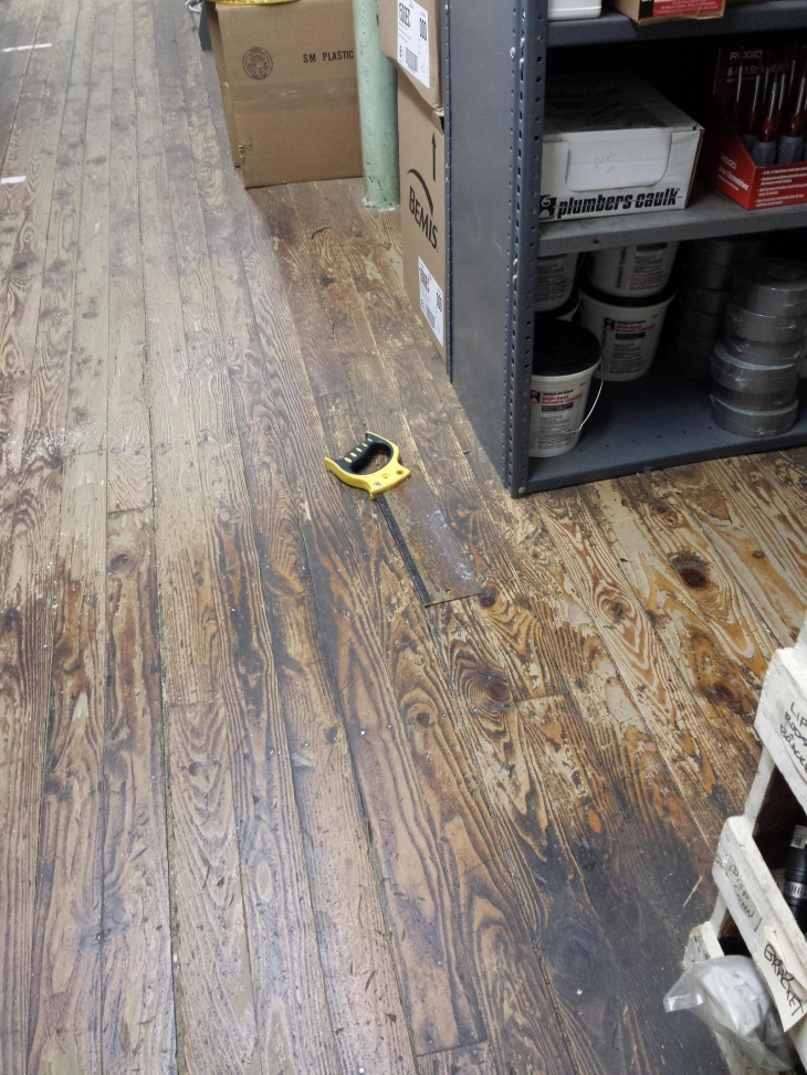 Illustration de l'article : 32 camouflages accidentels sûrement mieux réussis que s’ils avaient été faits exprès