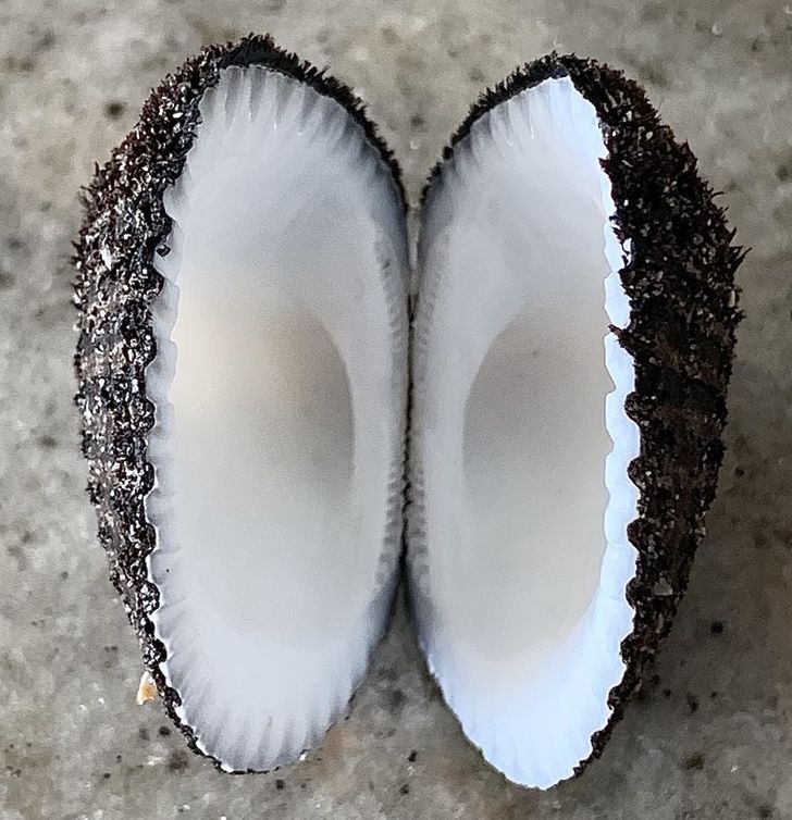 Illustration de l'article : Ces 20 personnes qui ont fait de bonnes trouvailles