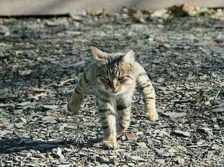 Illustration de l'article : Ces 20 photos présentant des situations particulièrement ambigües