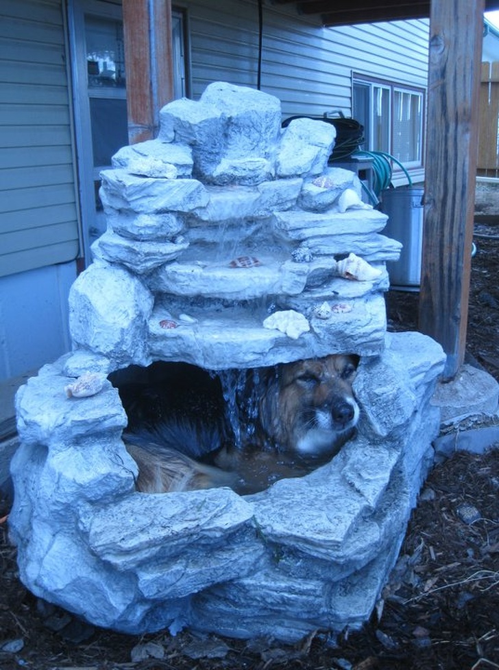 Illustration de l'article : Ces 18 façons de se rafraîchir quand il fait chaud