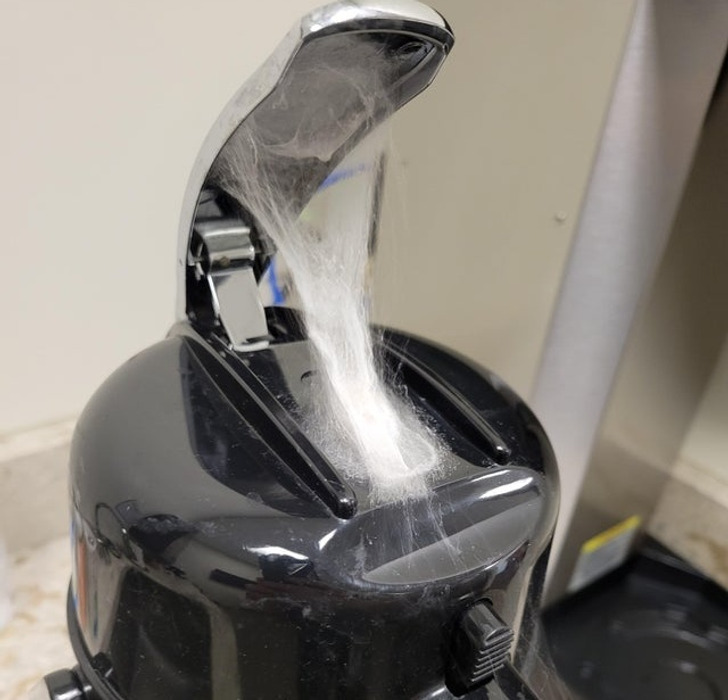 Illustration de l'article : Ces 18 photos de personnes qui pâtissent de la malchance