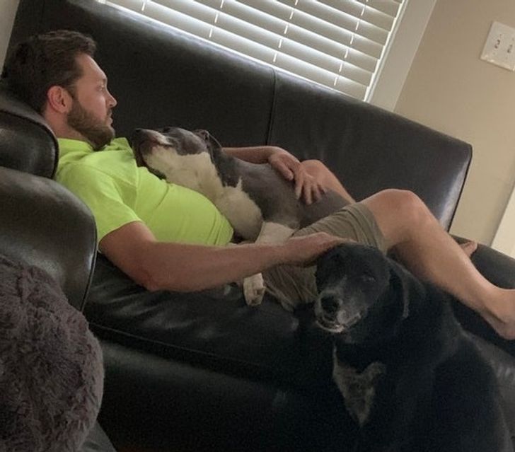 Illustration de l'article : Ces 20 personnes qui étaient contre adopter un animal de compagnie