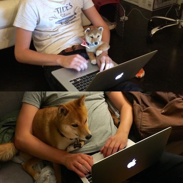 Illustration de l'article : Ces 20 photos avant/après qui montrent que certaines choses ne changent jamais